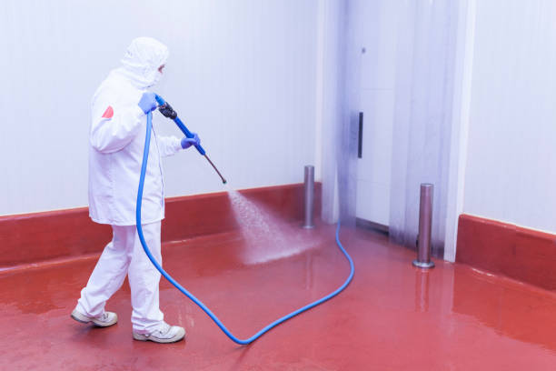 Best Dumpster Area Cleaning  in Catlin, IL