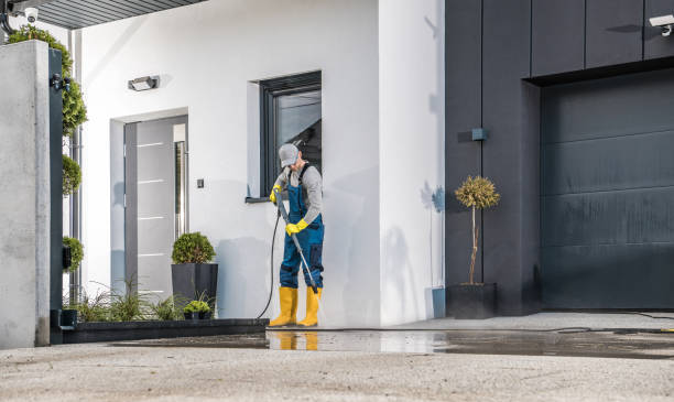Best Paint Preparation  in Catlin, IL